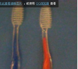 双色蛇头磨尖毛